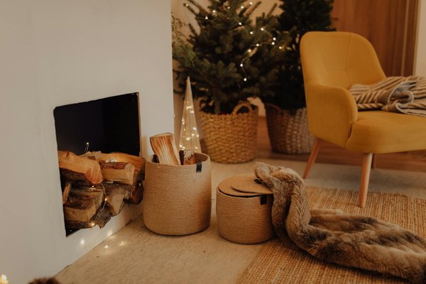 Discover the Best Vegetables for Shady UK Gardens: Top Shade-Loving Plants to Grow